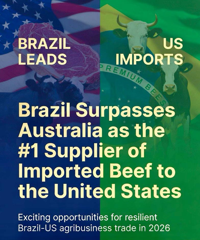Brasil supera a Austrália e se torna o maior fornecedor de carne bovina importada dos Estados Unidos